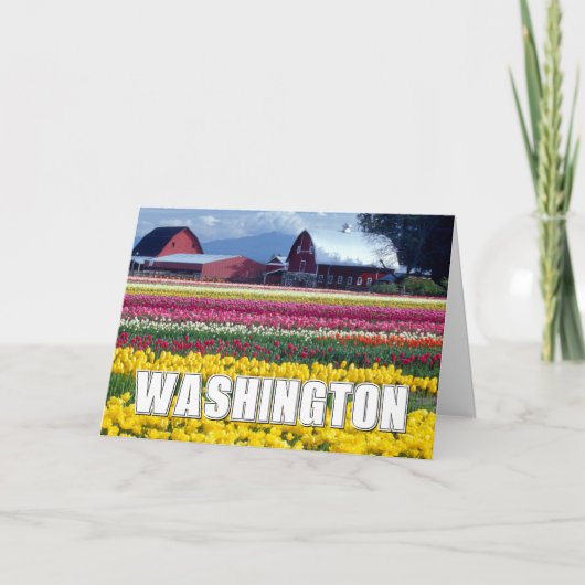 Washington State | Tulpenveld | Gefeliciteerd Kaart (Voorkant)