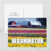 Washington State | Tulpenveld | Gefeliciteerd met  Briefkaart (Voorkant / Achterkant)