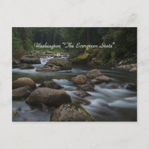 Washington "The Evergreen State" Briefkaart