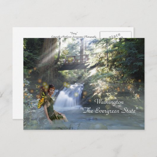 Washington "The Evergreen State" Briefkaart (Voorkant / Achterkant)