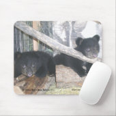 Washington Twins 2009 Mousepad Muismat (Met muis)