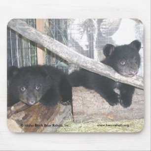 Washington Twins 2009 Mousepad Muismat