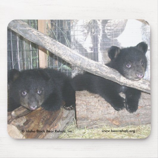 Washington Twins 2009 Mousepad Muismat (Voorkant)