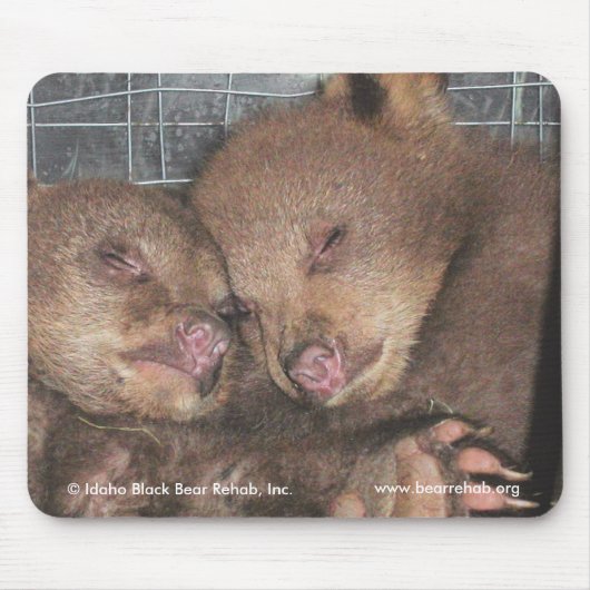 Washington Twins 2010 Mousepad Muismat (Voorkant)