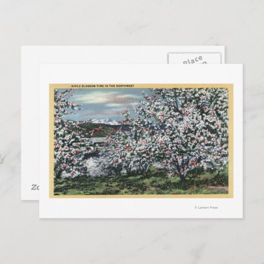 Washington - Uitzicht Apple Trees in Blossom Briefkaart (Voorkant / Achterkant)