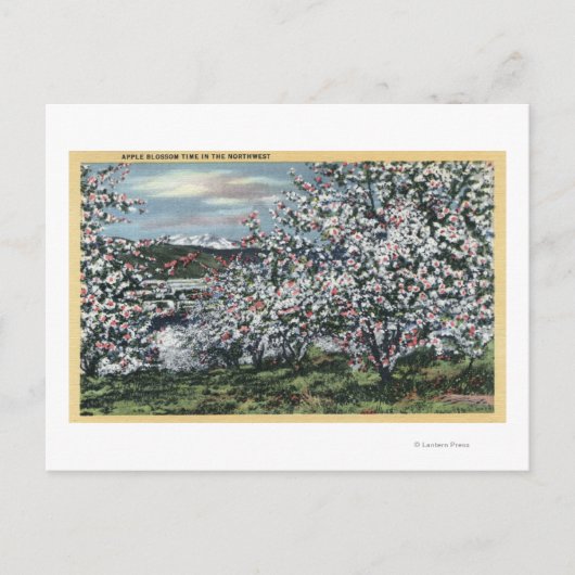 Washington - Uitzicht Apple Trees in Blossom Briefkaart (Voorkant)
