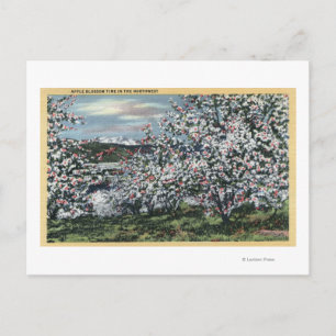 Washington - Uitzicht Apple Trees in Blossom Briefkaart