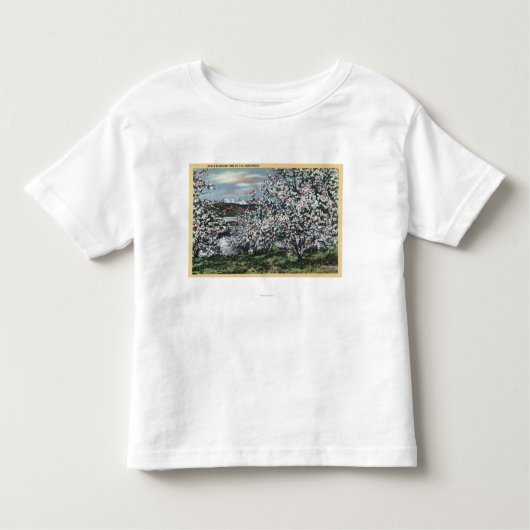 Washington - Uitzicht Apple Trees in Blossom Kinder Shirts (Voorkant)