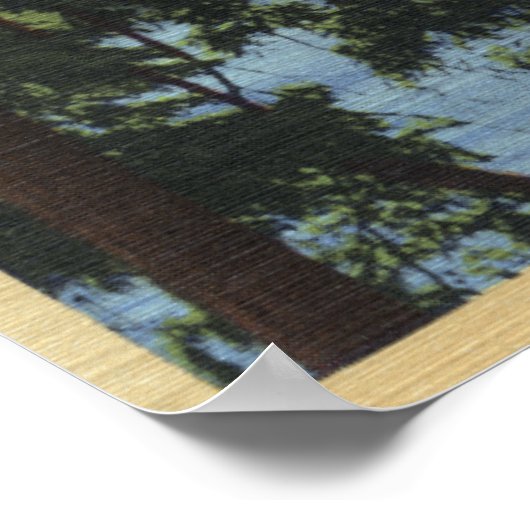 Washington - Uitzicht van Mt. St. Poster (Hoek)