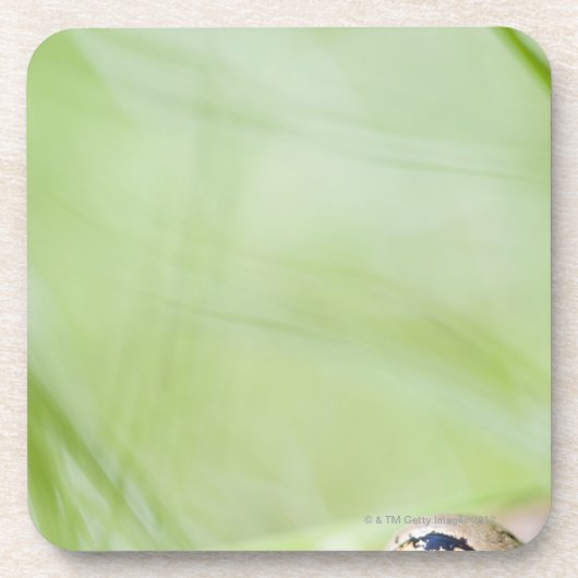 Washington, Verenigde Staten Bier Onderzetter (Voorkant)