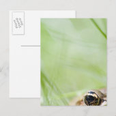 Washington, Verenigde Staten Briefkaart (Voorkant / Achterkant)