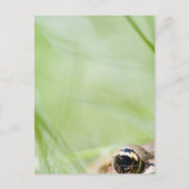 Washington, Verenigde Staten Briefkaart (Voorkant)