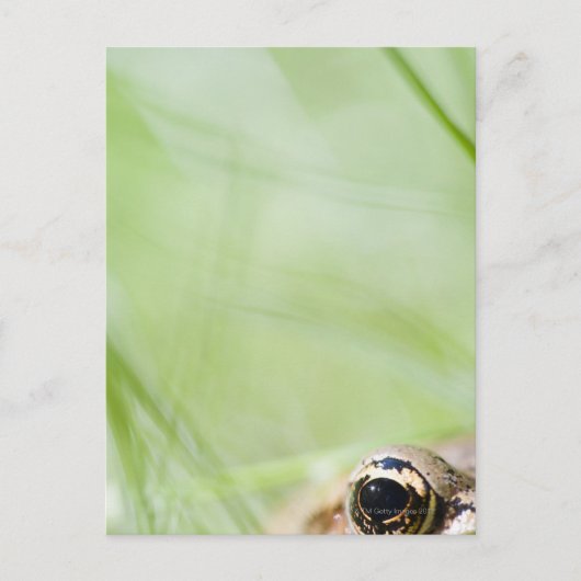 Washington, Verenigde Staten Briefkaart (Voorkant)