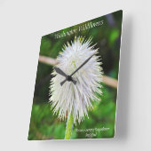 Washington Wilde Pasqueflower White Seed Head Vierkante Klok (Hoek)
