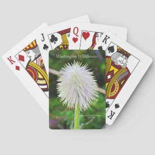 Washington Wildflower Pasqueflower White Seed Head Pokerkaarten