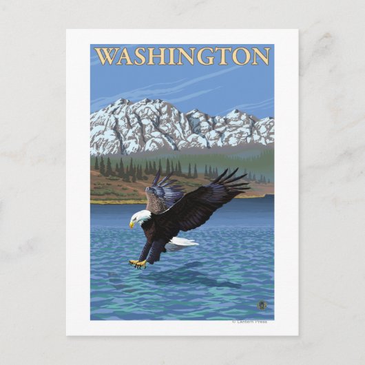 WashingtonDiving Eagle Briefkaart (Voorkant)