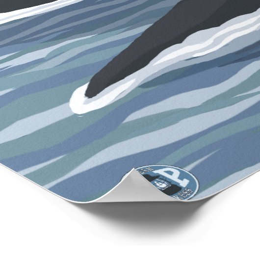 WashingtonOrca Fins Poster (Hoek)