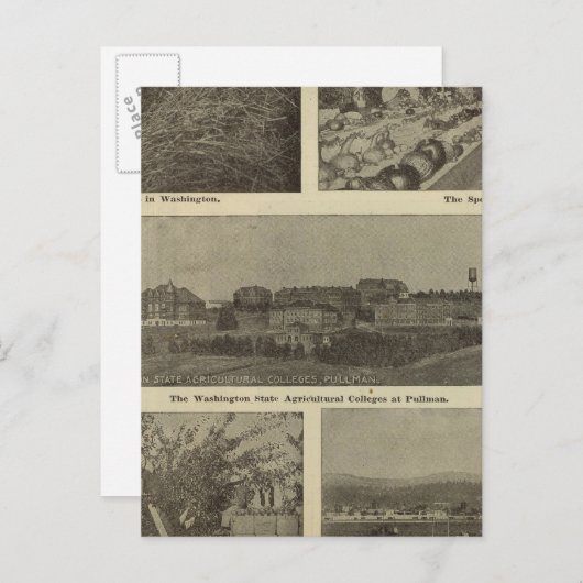 Washington's veelzijdige vloed briefkaart (Voorkant / Achterkant)