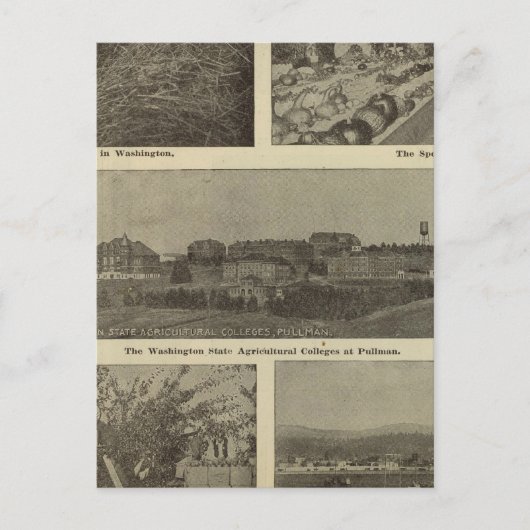 Washington's veelzijdige vloed briefkaart (Voorkant)