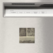 Washington's veelzijdige vloed magneet (Insitu (Vaatwasser))