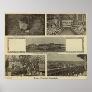 Washington's veelzijdige vloed poster