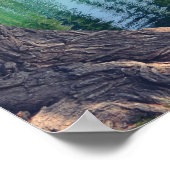 Washout 20 x 16-inch Poster papier (steen) (Hoek)