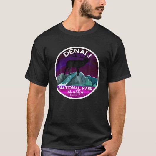 Wasilla Alaska Northern Lights T-shirt (Voorkant)