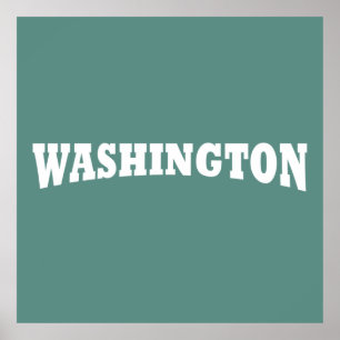 wasington dc poster
