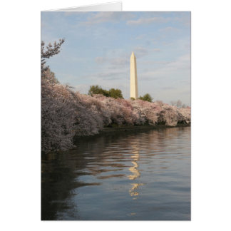 wasington monument cherry blossom