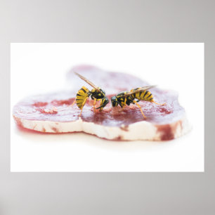 Wasjes die een worst eten poster