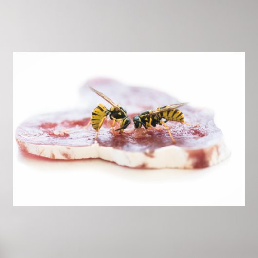 Wasjes die een worst eten poster (Voorkant)