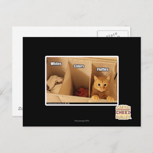 Waskat Briefkaart (Voorkant / Achterkant)