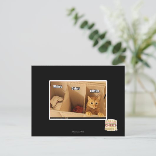 Waskat Briefkaart (Staand voorkant)