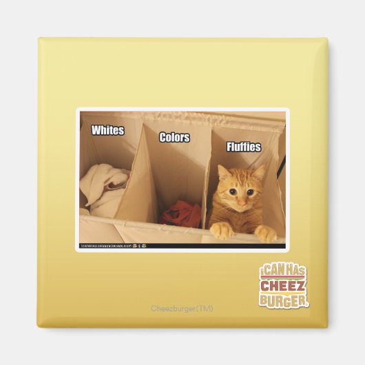 Waskat Magneet (Voorkant)