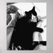 Waskat Poster (Voorkant)