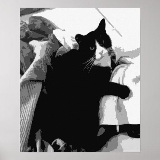 Waskat Poster (Voorkant)