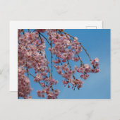 Waskers Briefkaart (Voorkant / Achterkant)