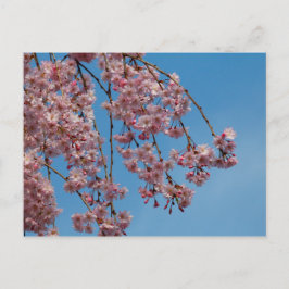 Waskers Briefkaart