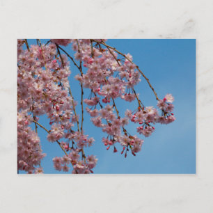 Waskers Briefkaart