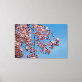 Waskers Canvas Afdruk