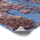 Waskers Poster (Hoek)