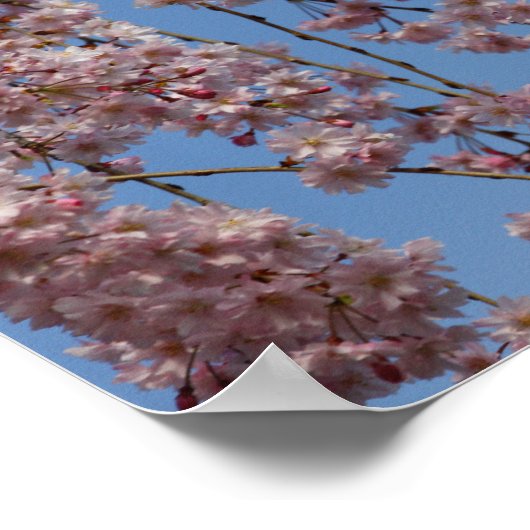 Waskers Poster (Hoek)