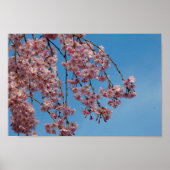 Waskers Poster (Voorkant)