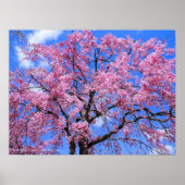 Waskers: Yaebenishidare Poster (Voorkant)