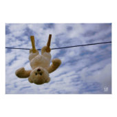 Waslijn met Funny beer die hangt te drogen. Perfect Poster (Voorkant)