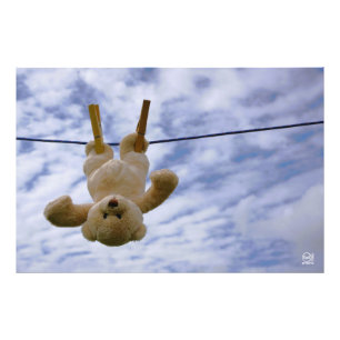 Waslijn met knuffelbeer die hangt te drogen. foto afdruk