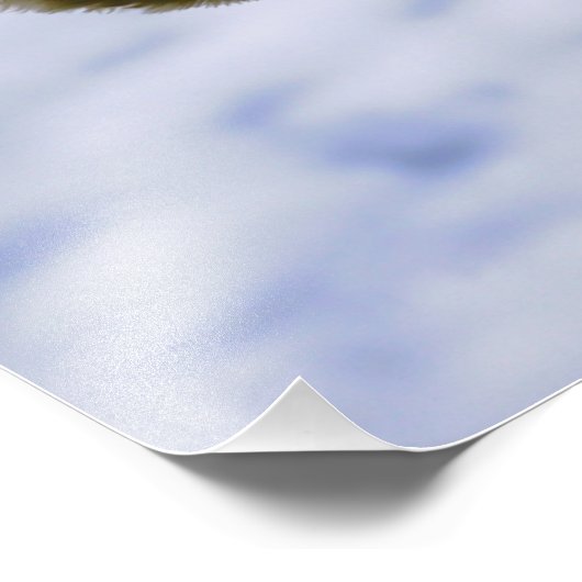 Waslijn met knuffelbeer die hangt te drogen. foto afdruk (Hoek)