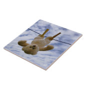 Waslijn met knuffelbeer die hangt te drogen. tegeltje (Zijkant)
