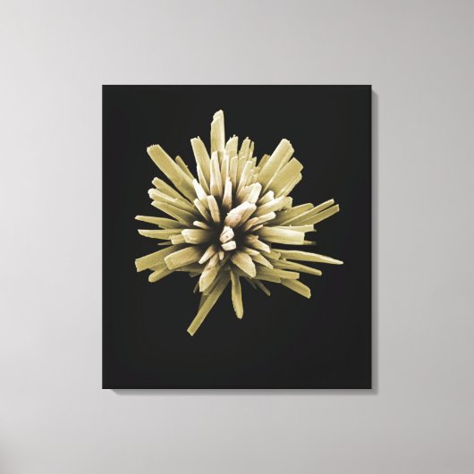 Wasmiddelkristal Canvas Afdruk (Voorkant)