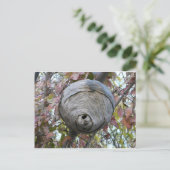 wasnest briefkaart (Staand voorkant)